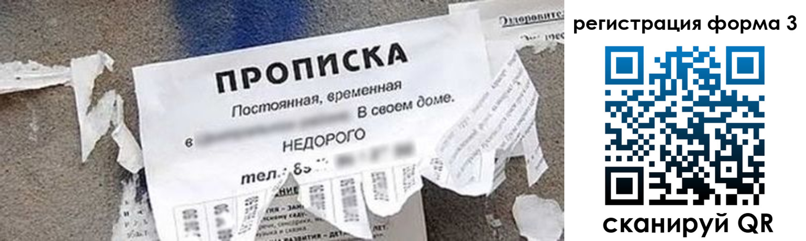 прописка 2025 в Гаврилов-Яме